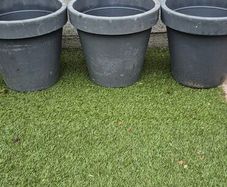 large flower pot