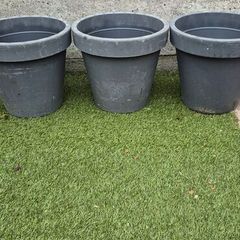 large flower pot