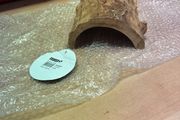 reptile hide