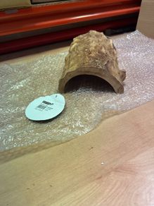 reptile hide