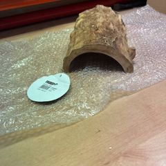 reptile hide