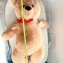 Giant Teddy Bear Image 6