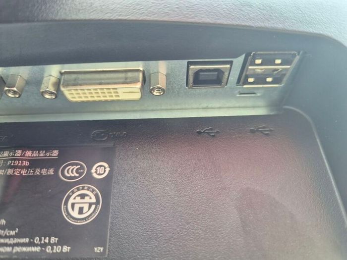 Dell Monitor P1913B