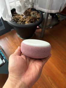 Amazon Echo Dot Rose Color 3rd Gen. Smart Speakers