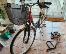 kellys city bike - avenue