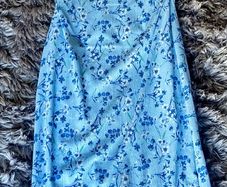 Blue dress