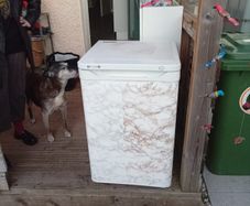 Freezer