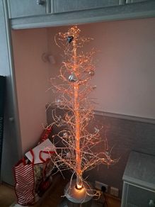 outdoor Christmas tree
