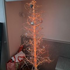outdoor Christmas tree