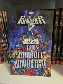 Punisher Vs Marvel Universe