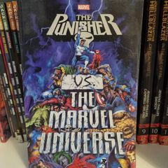 Punisher Vs Marvel Universe