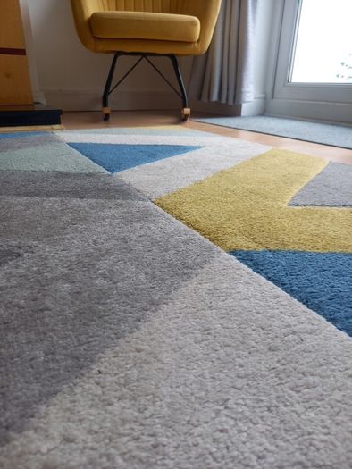 Designer Rug - Blue