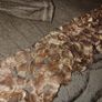 Grey "Guarapo" Top. Size 10 Image 3