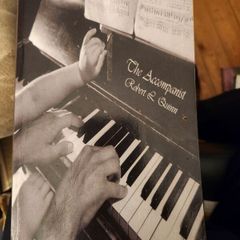The Accompanist By Robert L. Quinn. First Edition Paperback In Good Condition.