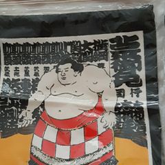 Cloth Bags x 2