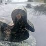 Connemara marble duck Image 4
