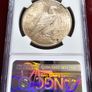 1925 Peace Dollar NCG Slabbed Original Purple/ Champagne Toning Image 3