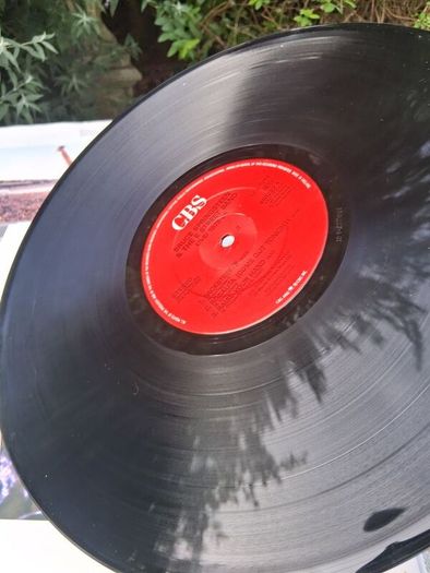 2 X Bruce Spingsteen Vinyl Lps
