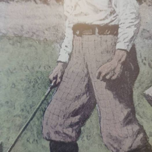 Arthur Burdett A.B. Frost Lithograph Framed Golf Art Print RARE - Chelsea House - Golfing