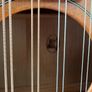 Trinity College Irish Bouzouki Image 2