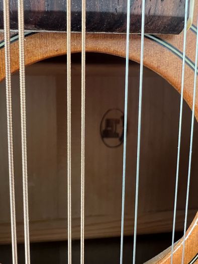 Trinity College Irish Bouzouki
