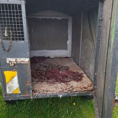 Dog trailer