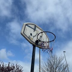 basketball hoop