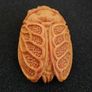 Carved wooden cicada. Image 4