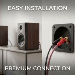 Speaker cable wall plate with binding posts