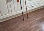 Walking poles