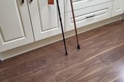 Walking poles