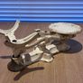 Antique Heavy cast iron scale with brass weights Image 4