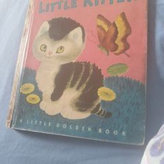 The Shy Little Kitten
