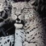 T-shirt Image 8
