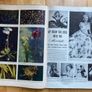Life Magazine June 14 1943 Image 3