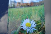 Rex Lee - Melodies at Eventide, Meath interest