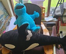 large soft toys