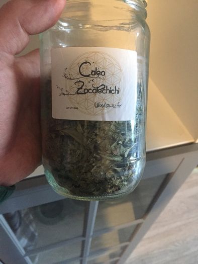 Dream Herb - Calea Zacatechichi  (40 grams, dried leaf)