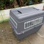 AniOne Transporter L-XL Dog IATA travel crate Image 4