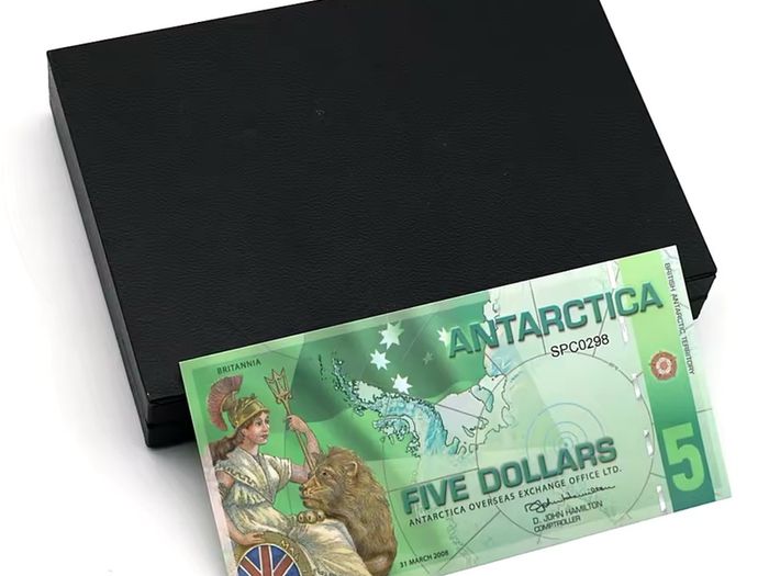 6PCS Antarctic Plastic Banknotes Penguin UNC Notes Commercial Commemorative Bank Notes Collection fantasy