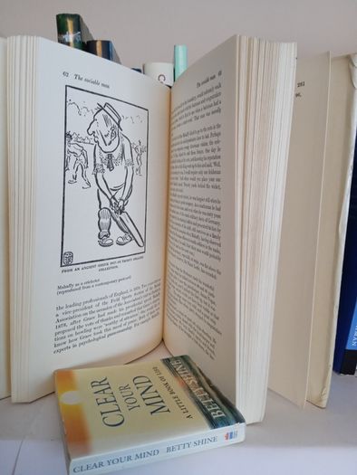 Mahaffy: A Biography of an Anglo-Irishman by W. B. Stanford and R. B. McDowell (LP185)