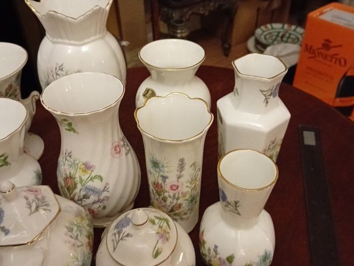 Aynsley"Wild Tudor" Collection
