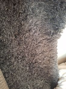 Large shaggy rug