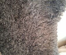 Large shaggy rug