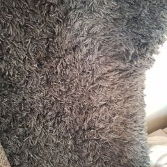 Large shaggy rug
