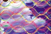 !!! (chk chk chk) - Louden Up Now, Vinyl, 2xLP, 2004, Warp