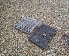 dog cages