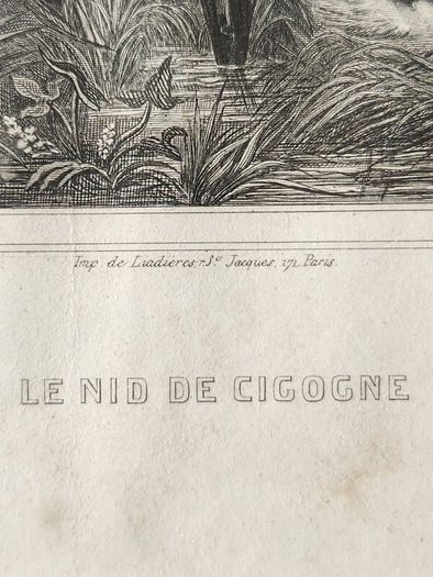 French Framed Pictures. 38.