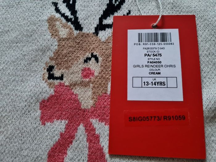 Girls Christmas jumper age 13-14