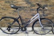 ladies  bike( can deliver)